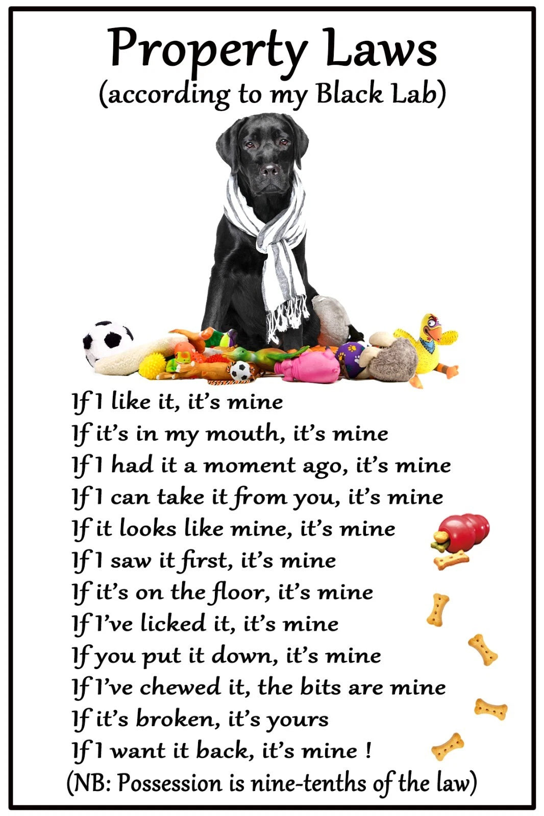 Unisex Black Labrador Dog Property Laws T-Shirts