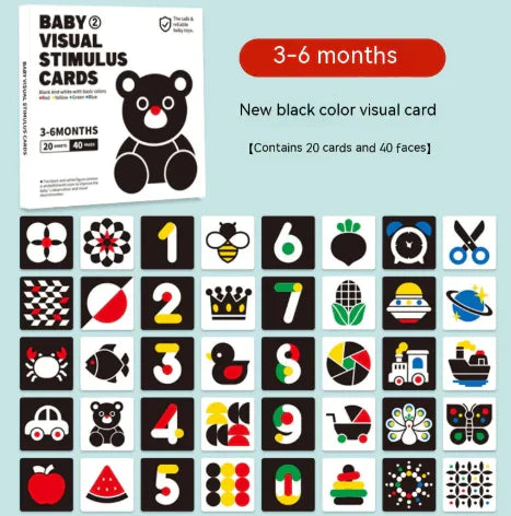 Early Education Visual Card
