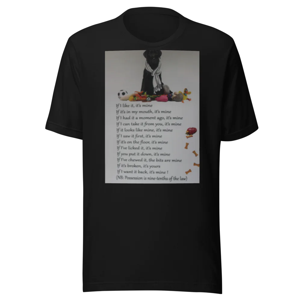 Unisex Staple Eco T-Shirt | Bella + Canvas 3001ECO